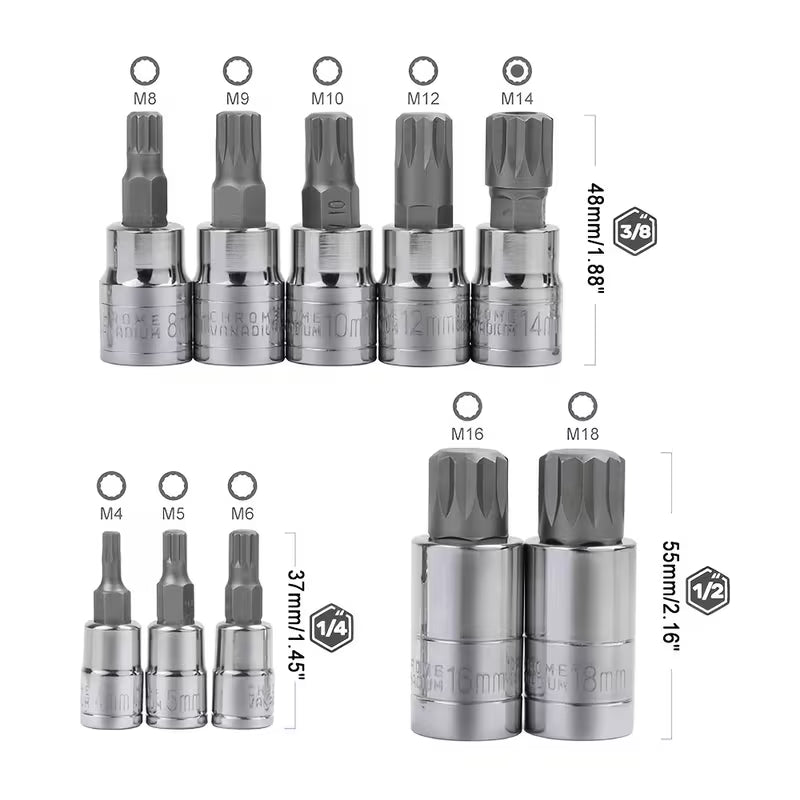 10-Teiliges Innentorx Steckschlüssel Set
